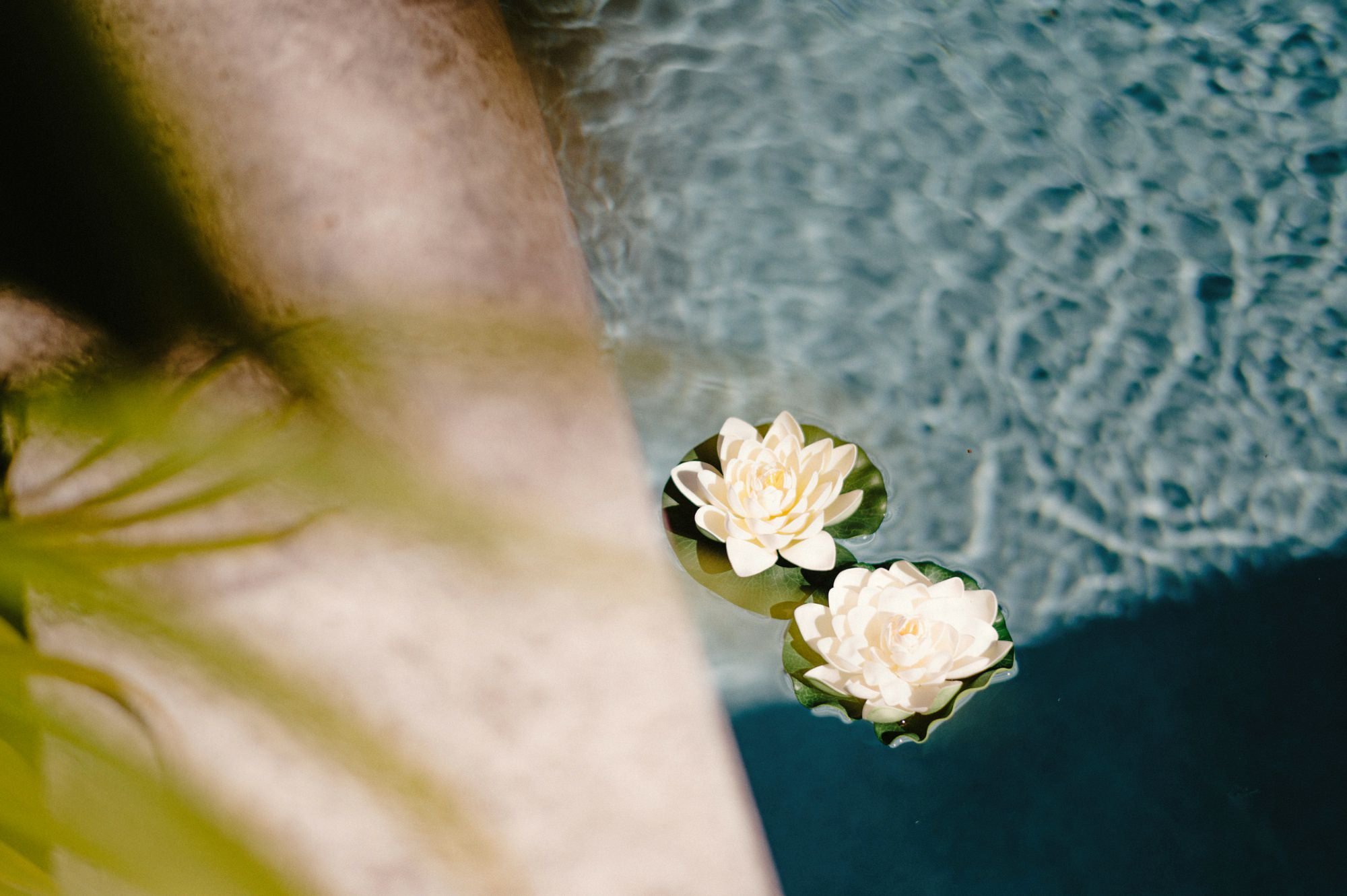 © Ryan Inman - ryaninman.com