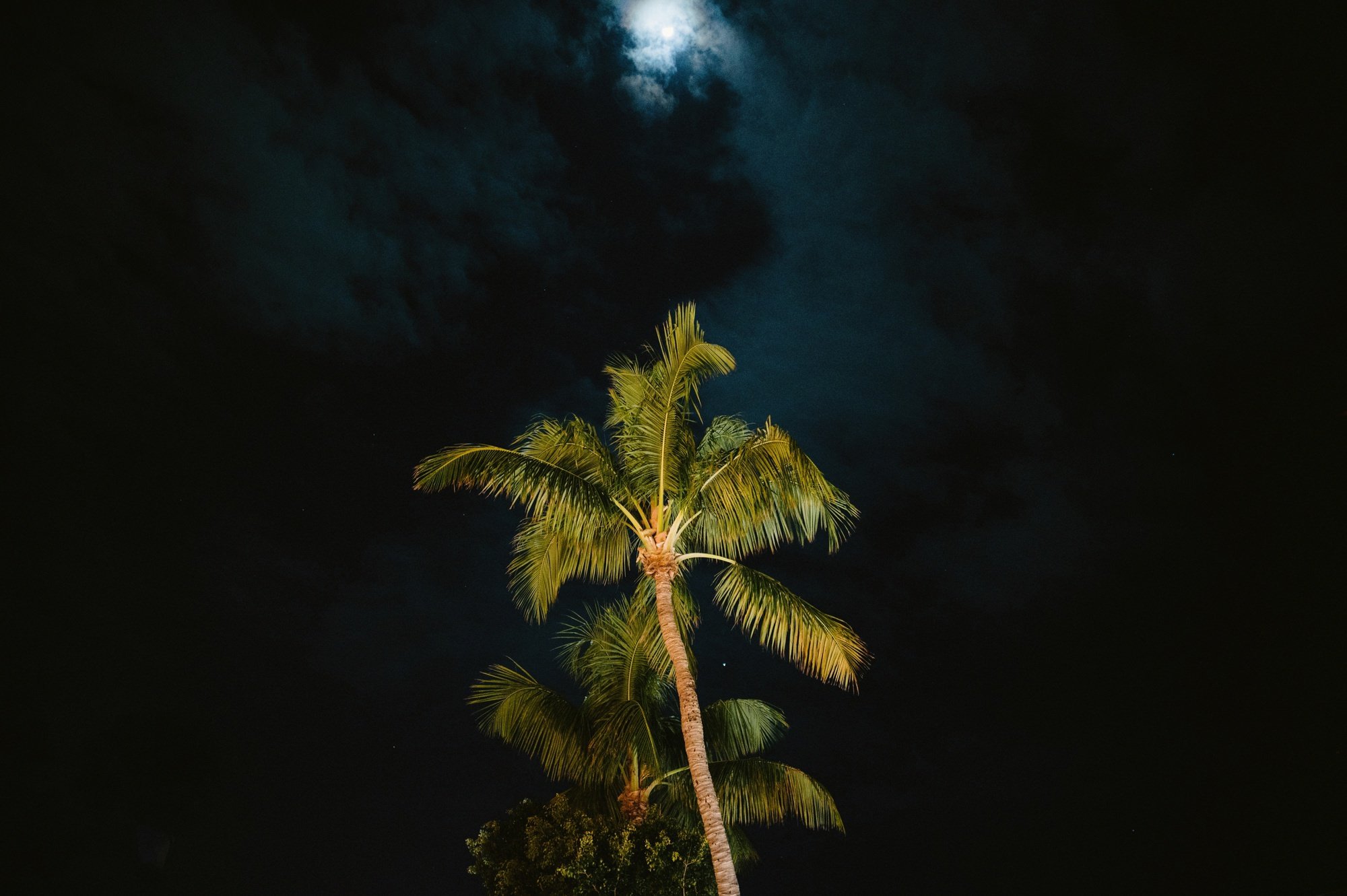 © Ryan Inman - ryaninman.com