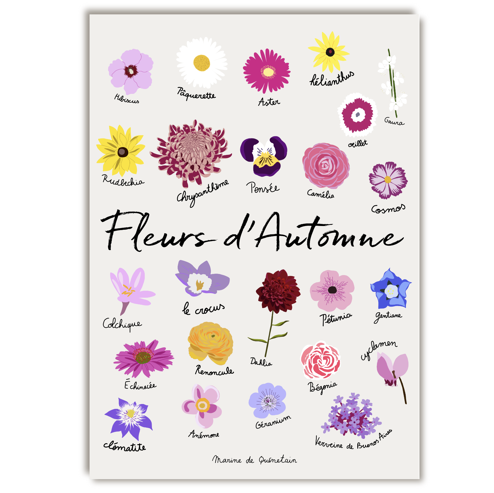 fleurs_automne.png