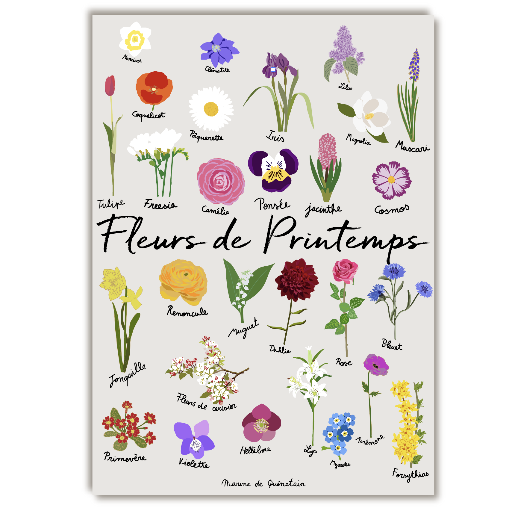 Capture d’écran 2025-10-06 à 13.23.12.png