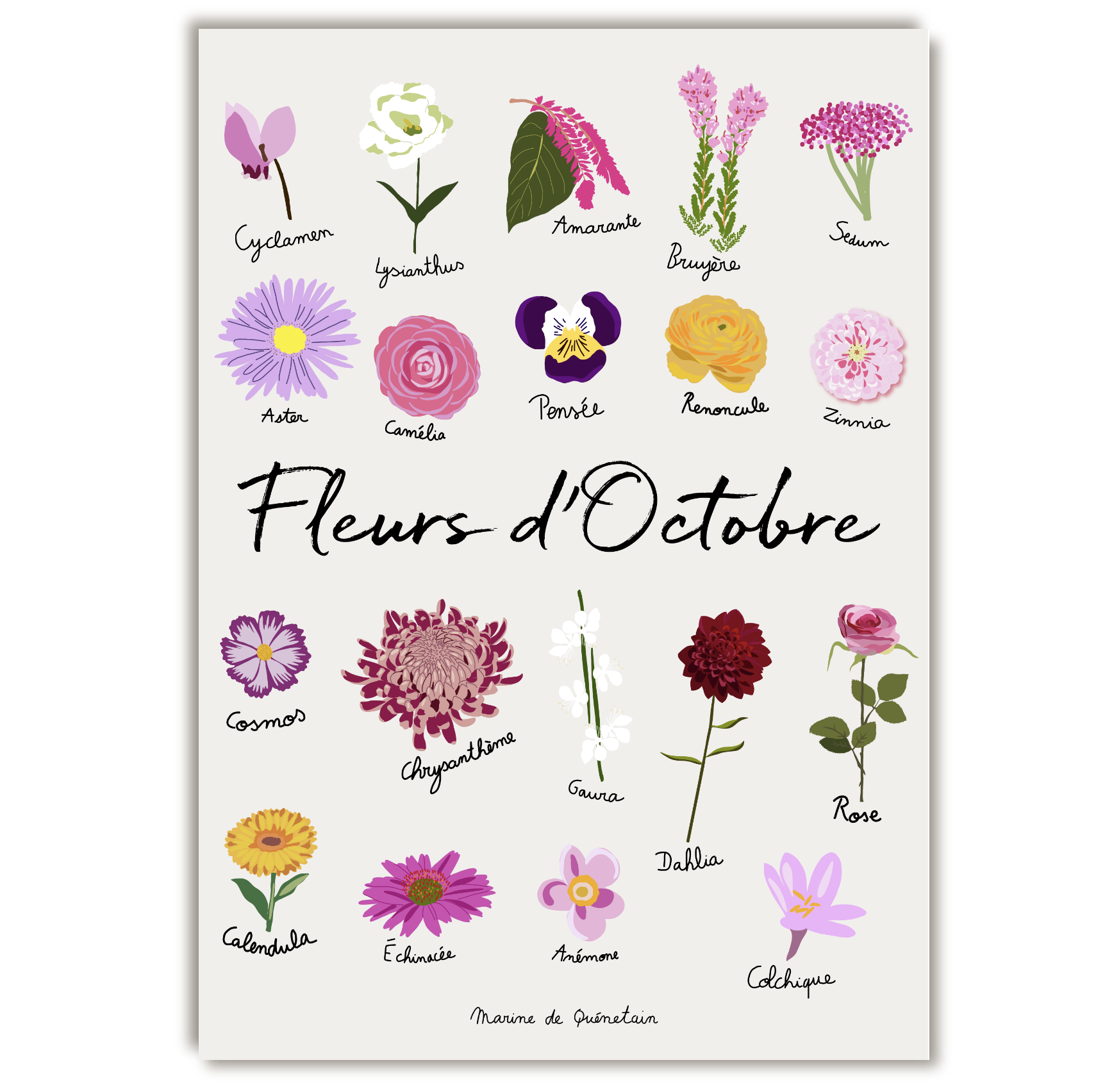 fleurs_octobre.png