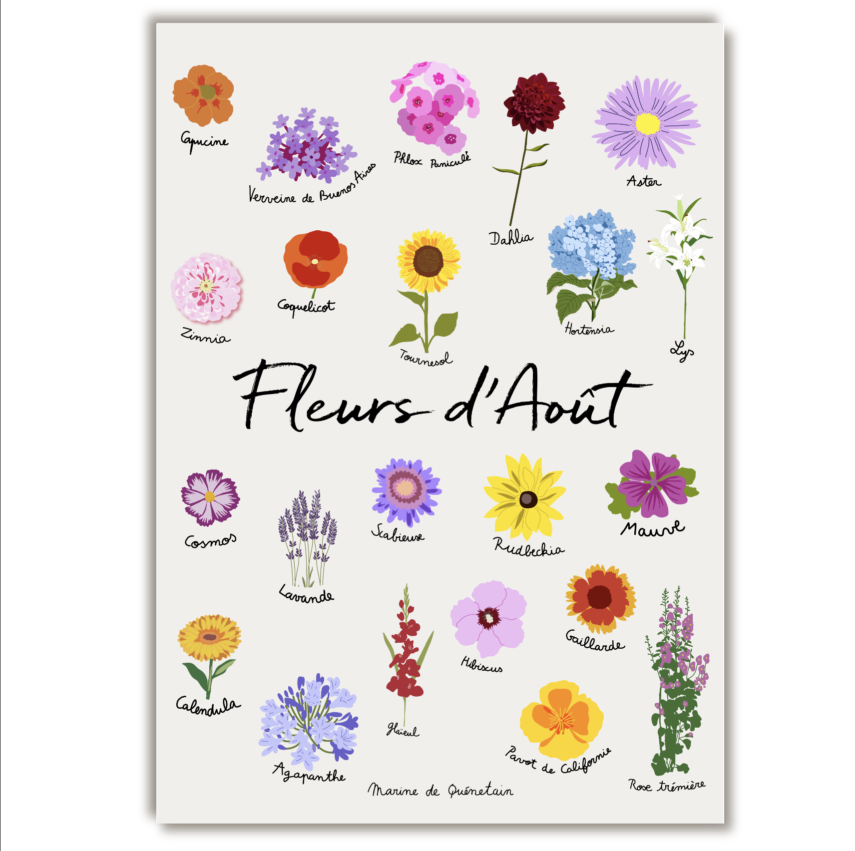 fleurs_aout.png