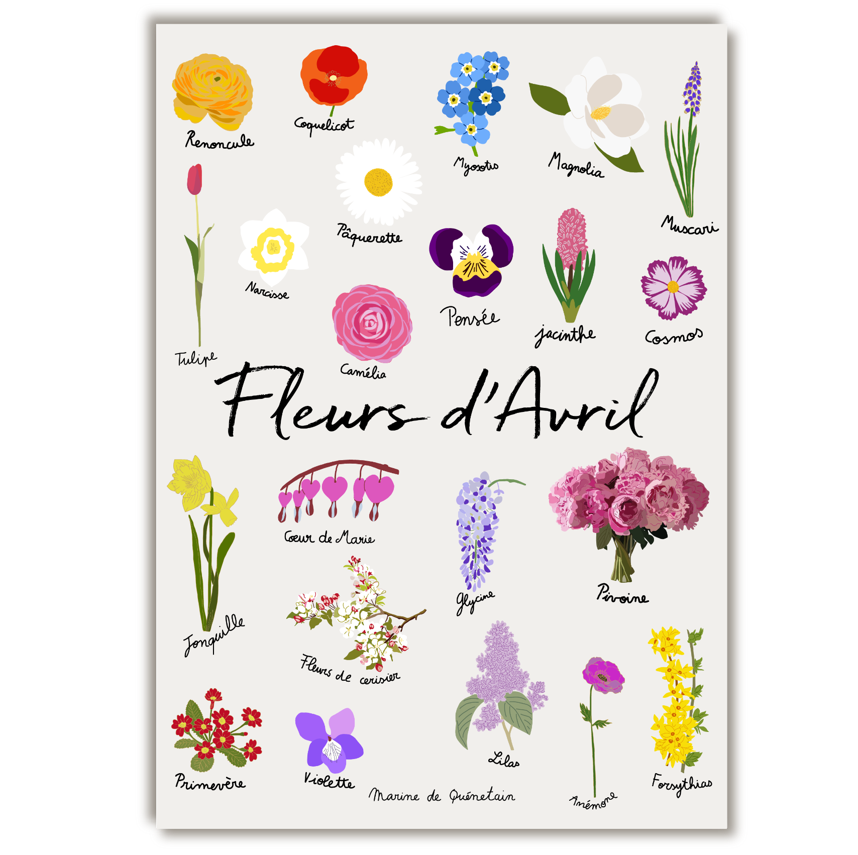 fleurs_avril.png