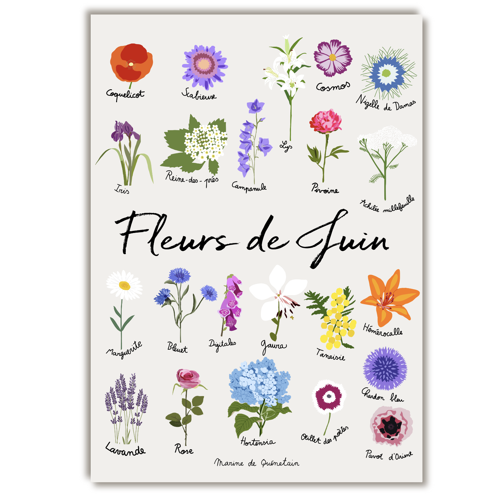 fleurs_juin.png