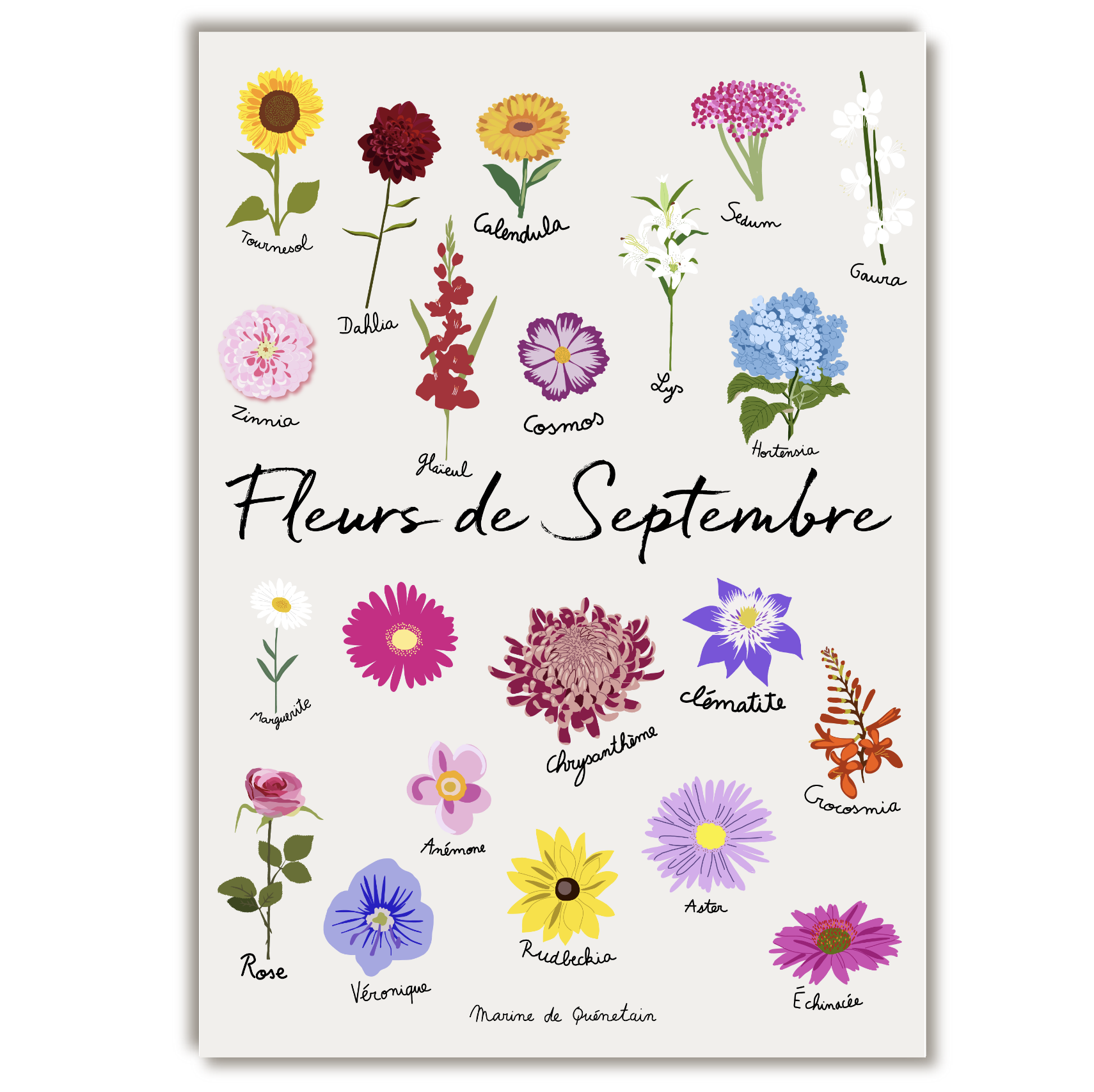 fleurs_septembre.png