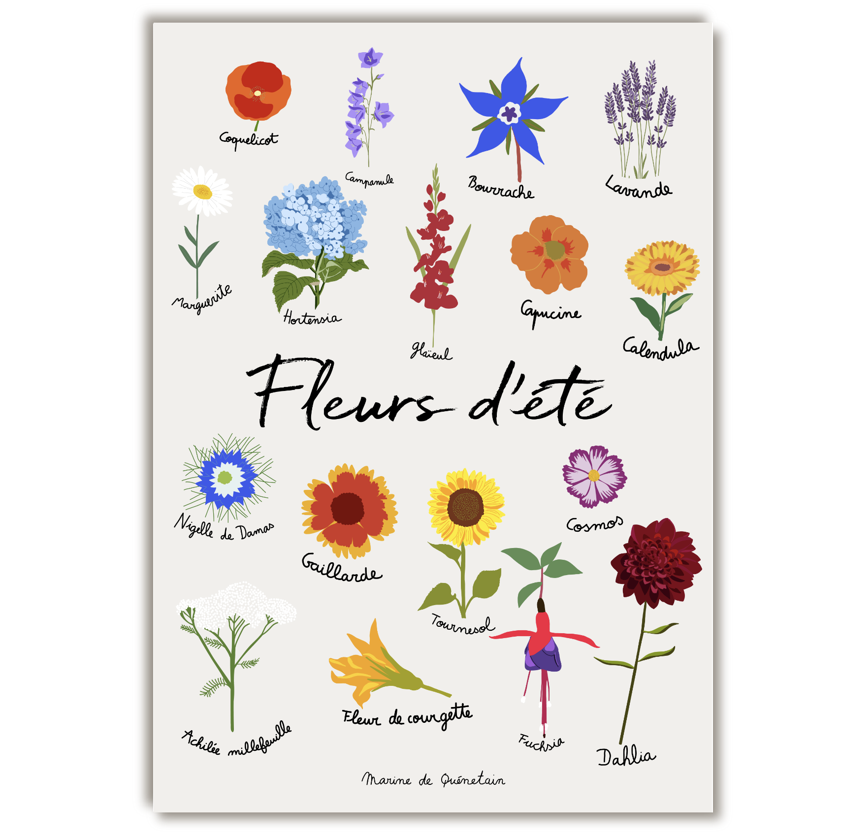 fleurs_ete.png