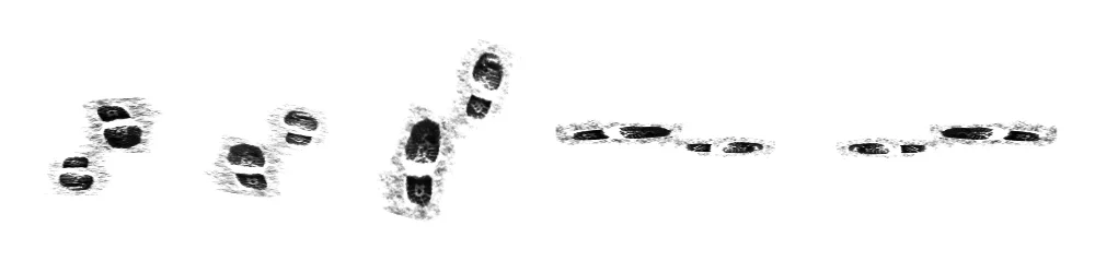 Here are some variations amongst many others that you can achieve using the brush panel