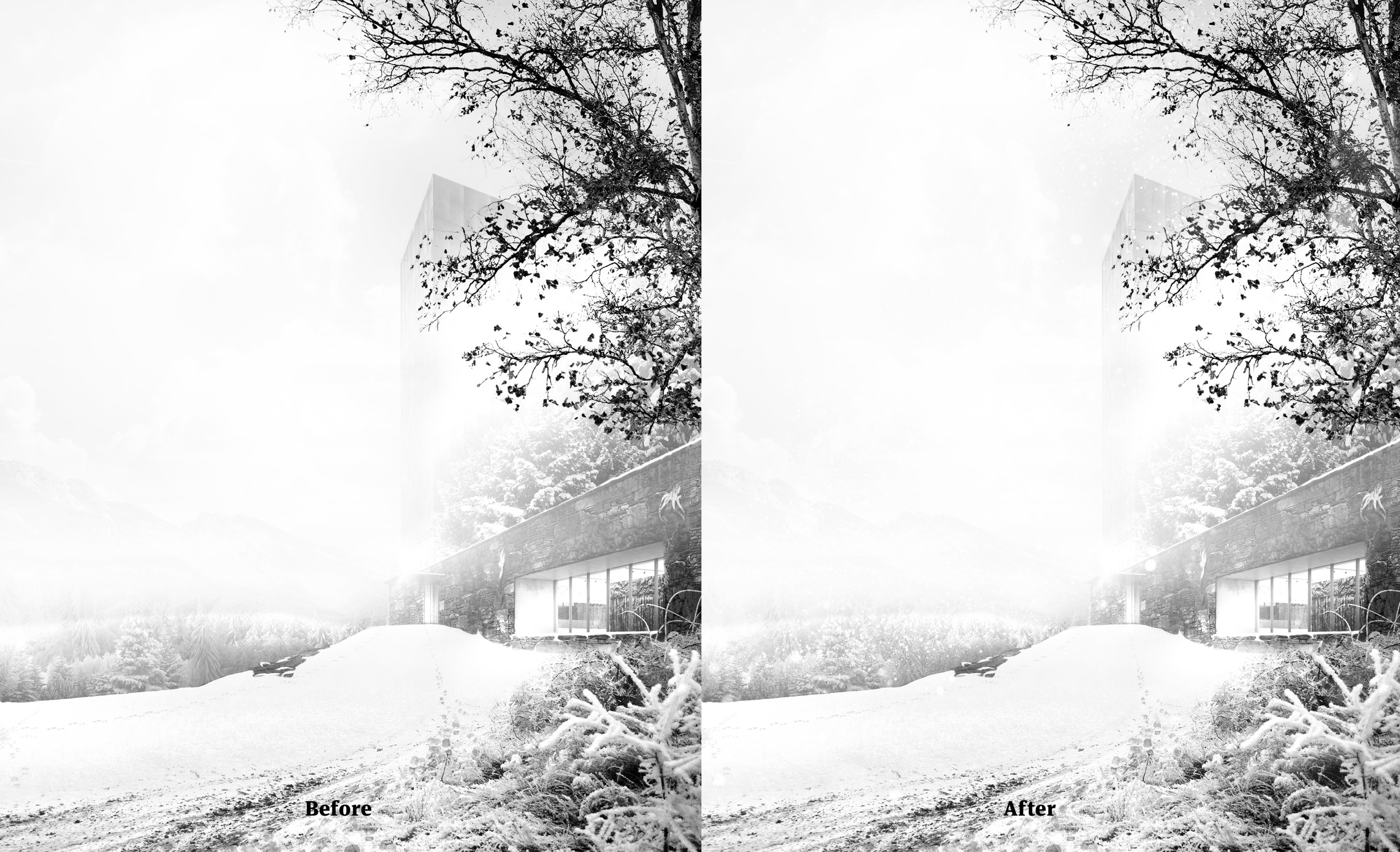 In this case, the falling snow effect is quite subtle. We notice it well in the background near the trees, and in the upper part. Adjusting levels will help in reading our effect better while not making it too strong.