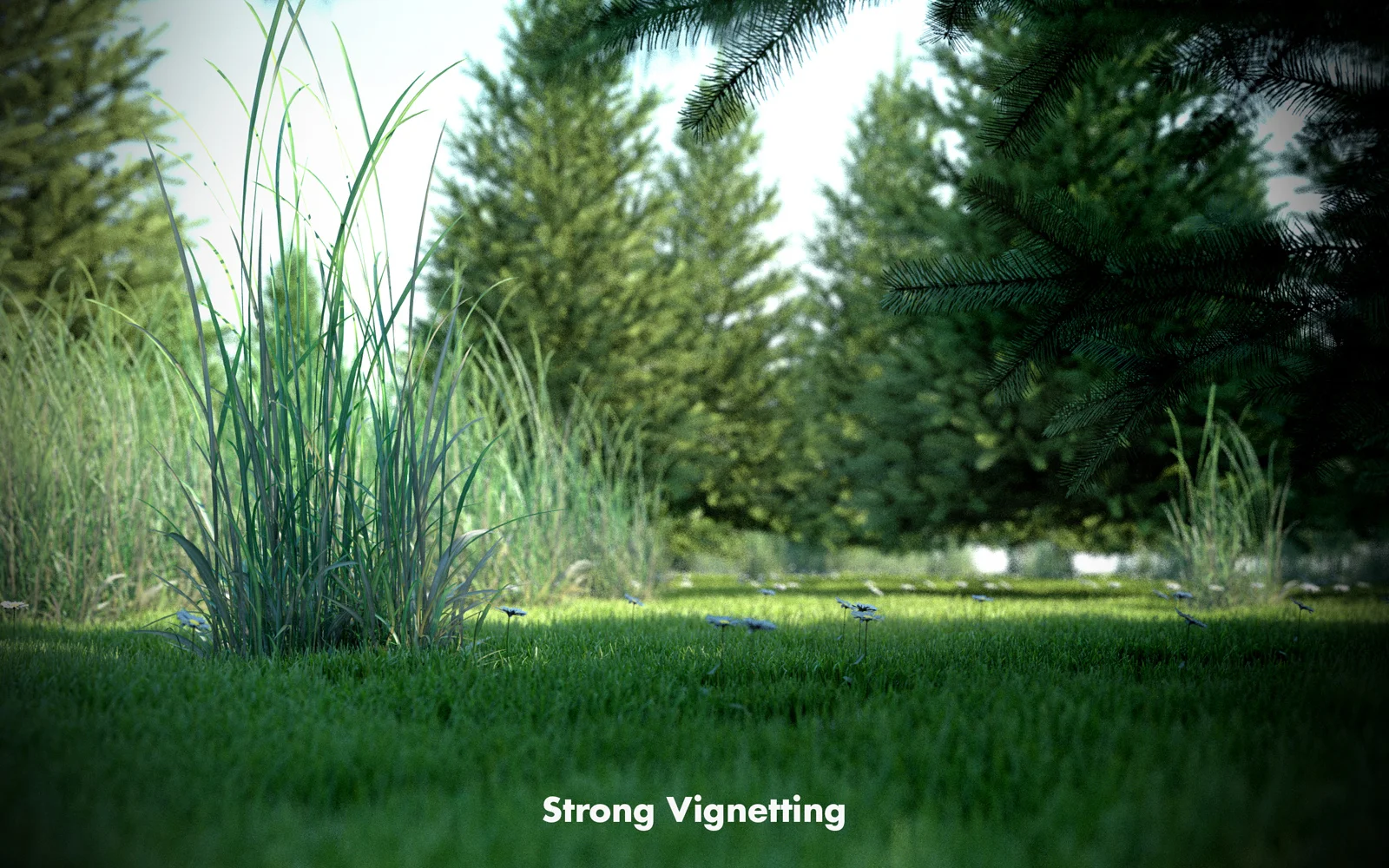 Vignetting Hard.jpg