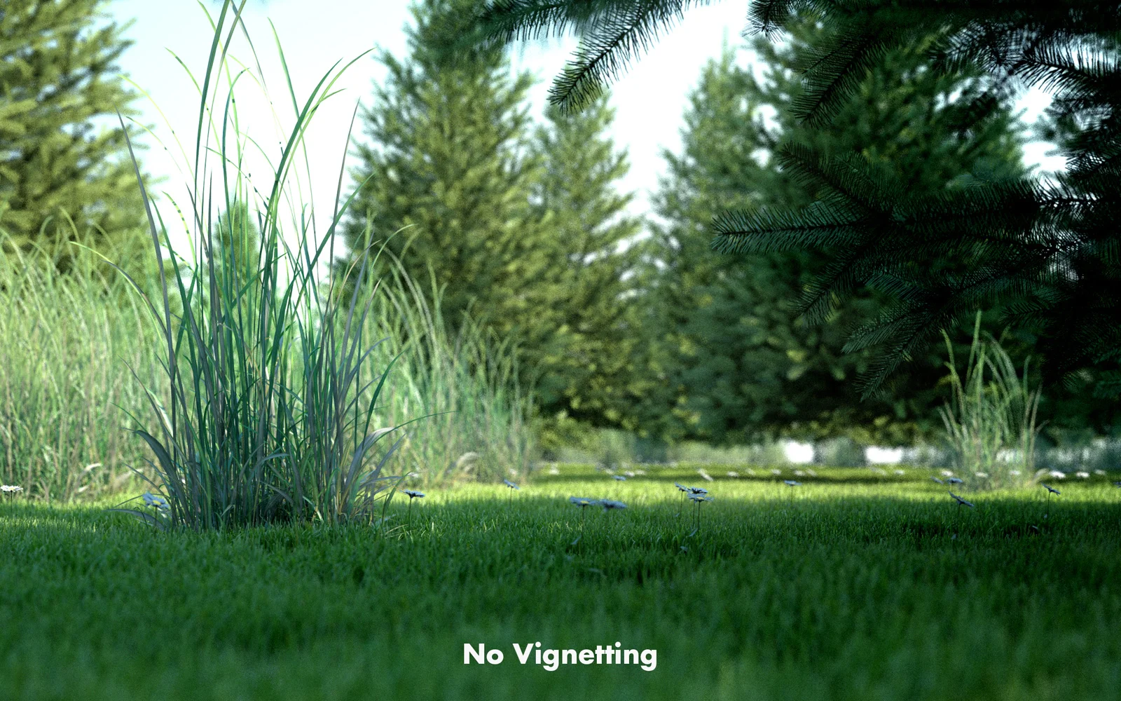 Vignetting No.jpg
