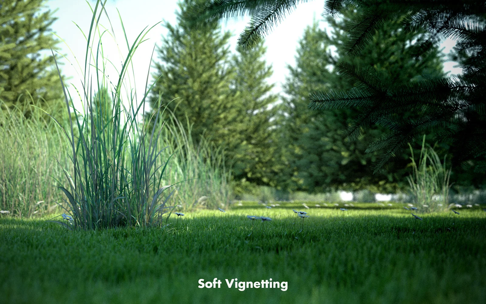 Vignetting Soft.jpg