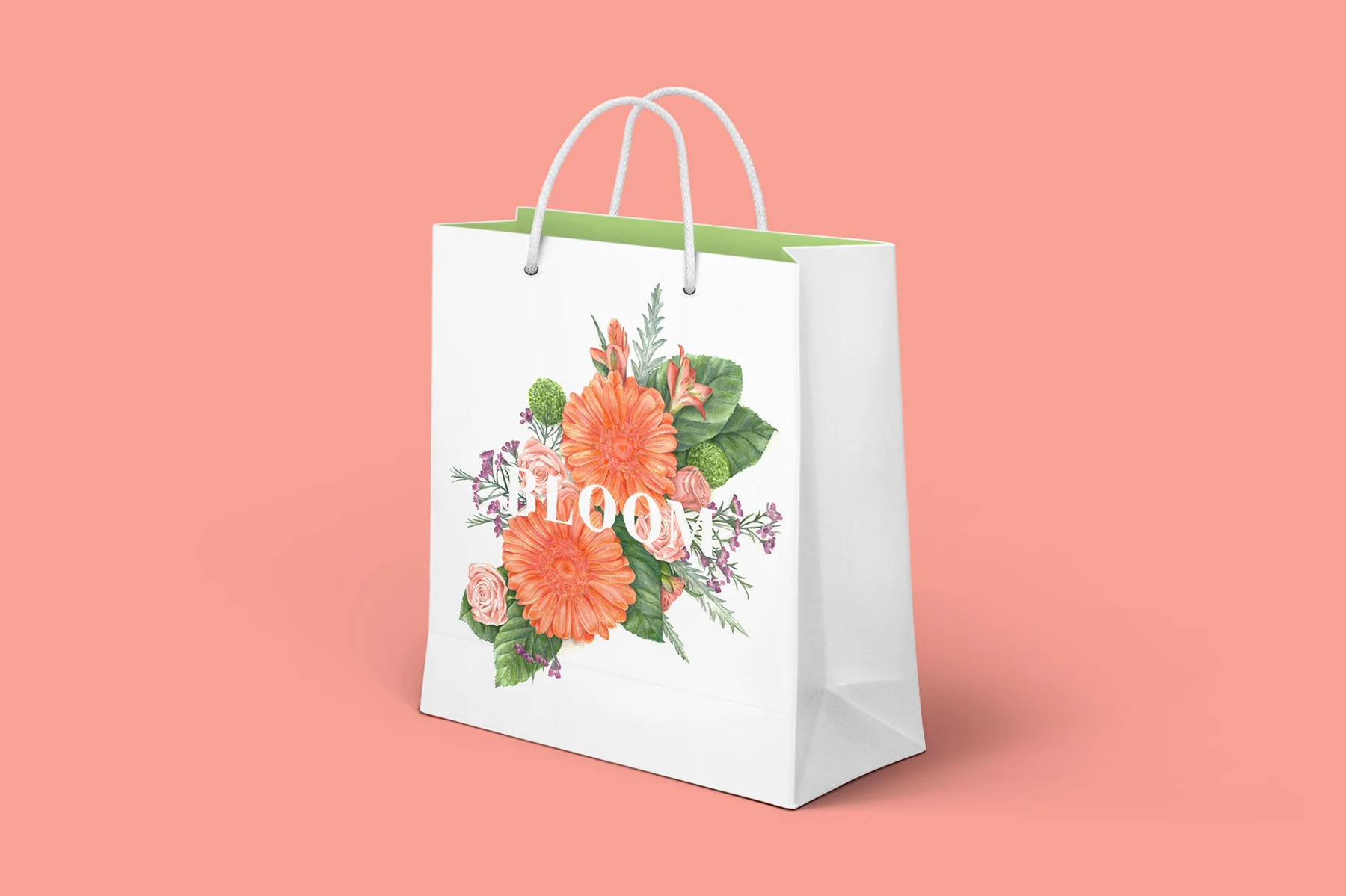 Branding + Design