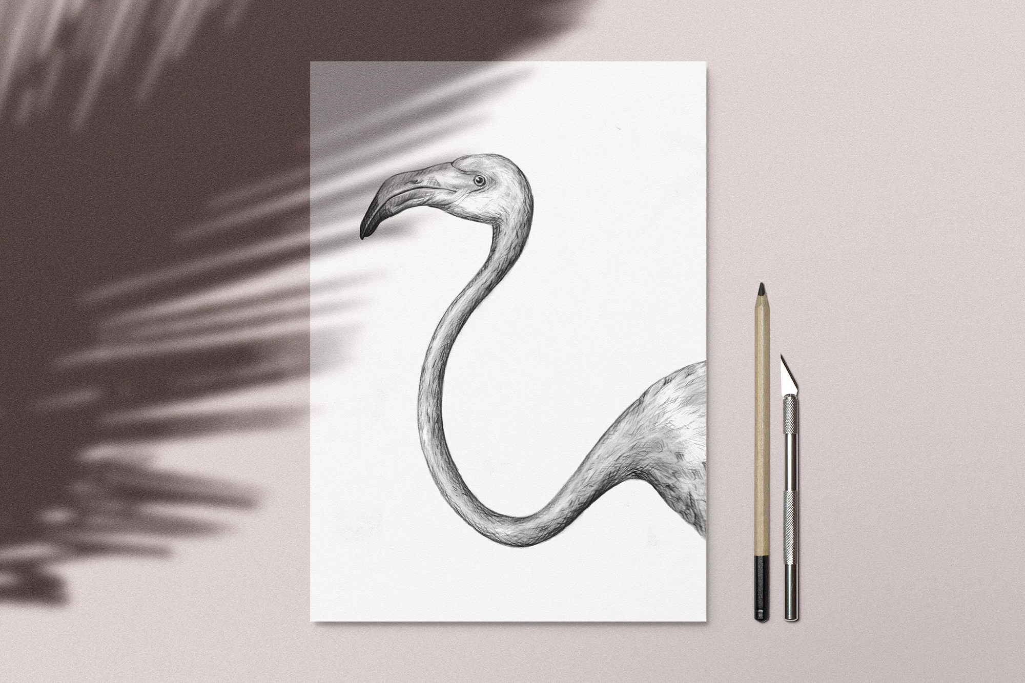 Flamingo_CoverPic_W02B_Newe.jpg