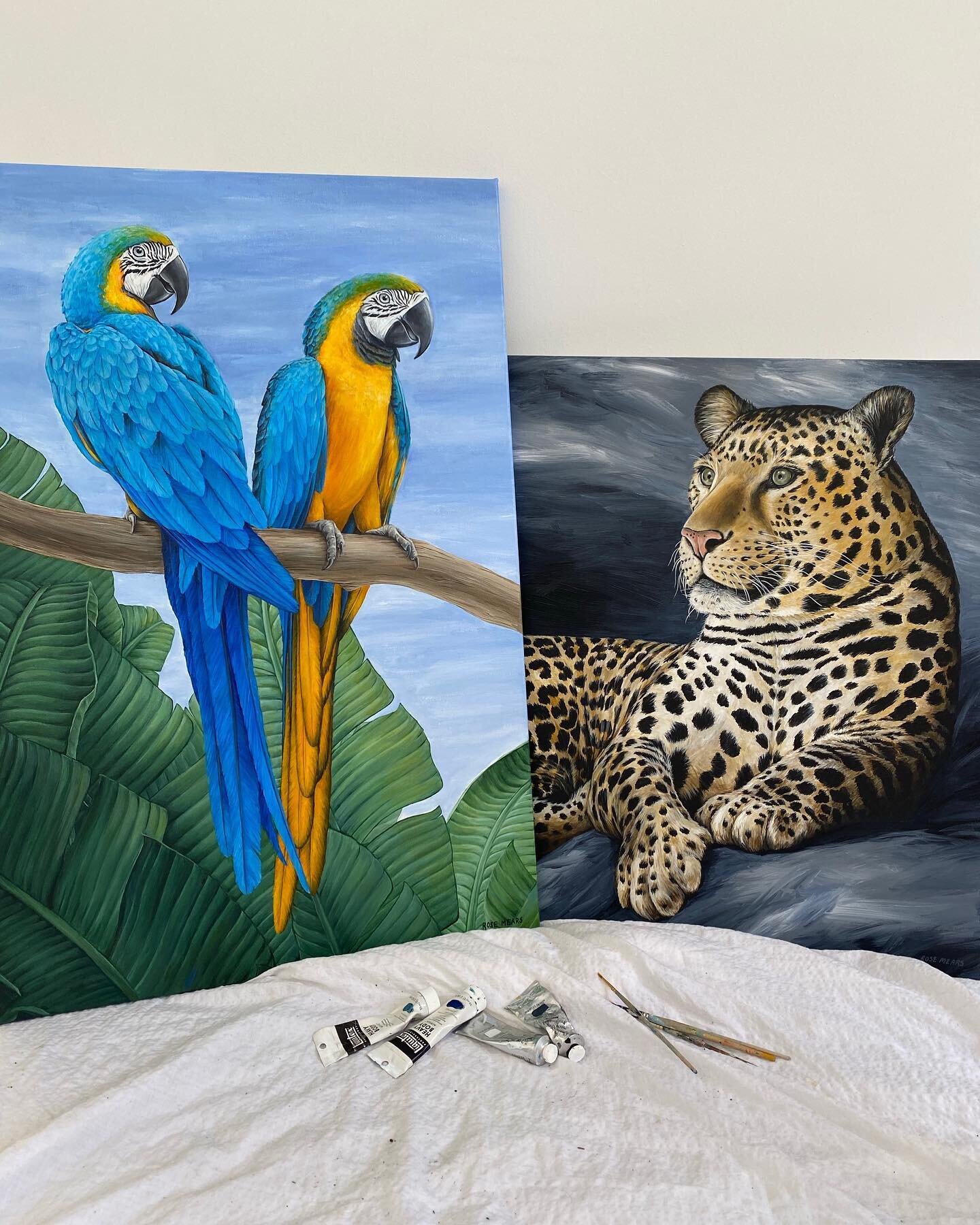 HAPPY Fridayyyy all!! 🌿🐆🌿 Excited to be sending these of to be made into prints this weekend! Along with my other two paintings 💫💫 YAY! DM me for signed prints 🤗 I have a lovey list of people to send to already yay! 💛
