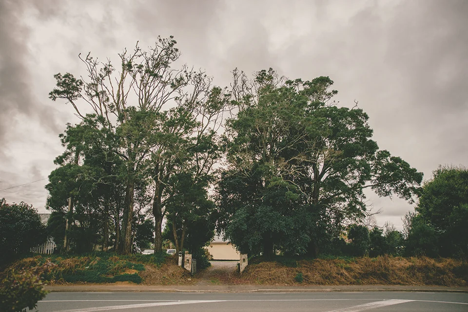 Brooke-Barry-Kerikeri-Ake-Ake-Vineyard-Wedding-1