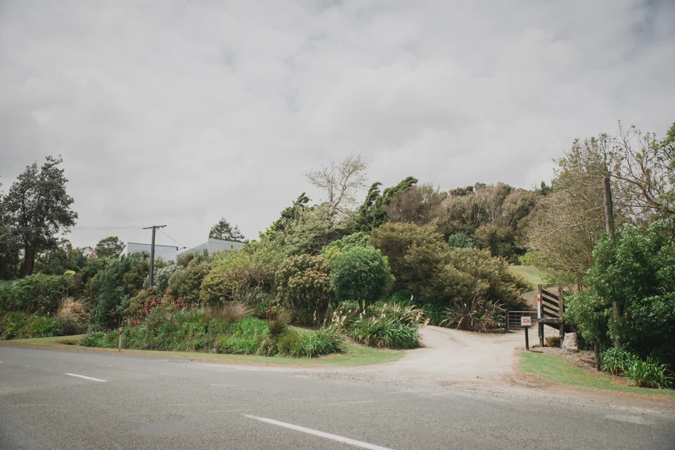 grace-carl-dargaville-wedding-modern-elegant