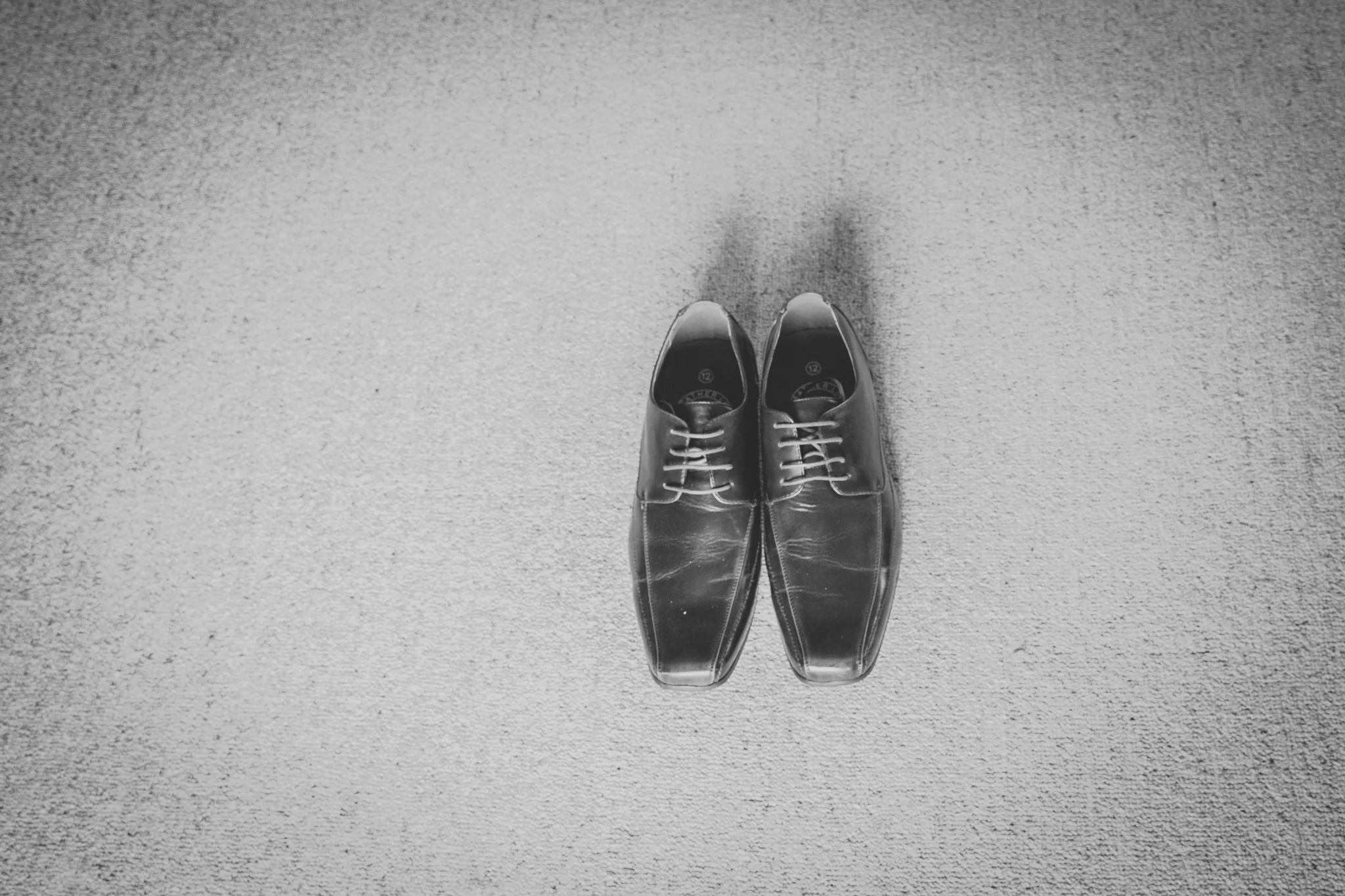 grace-carl-dargaville-wedding-modern-elegant-24
