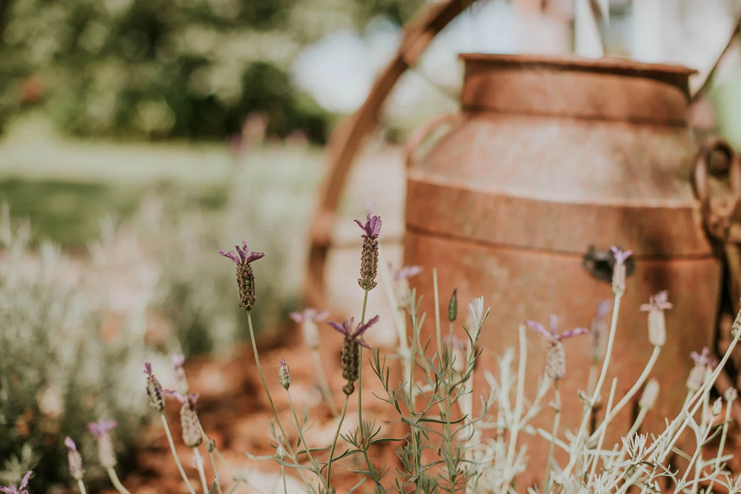 james-melinda-auckland-rustic-farm-wedding-5