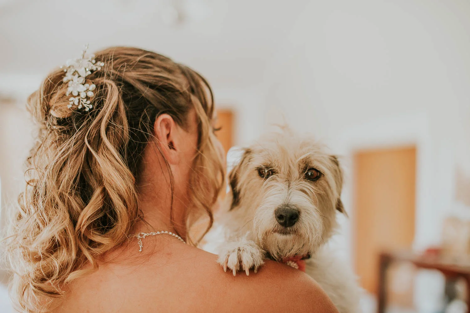 james-melinda-auckland-rustic-farm-wedding-8