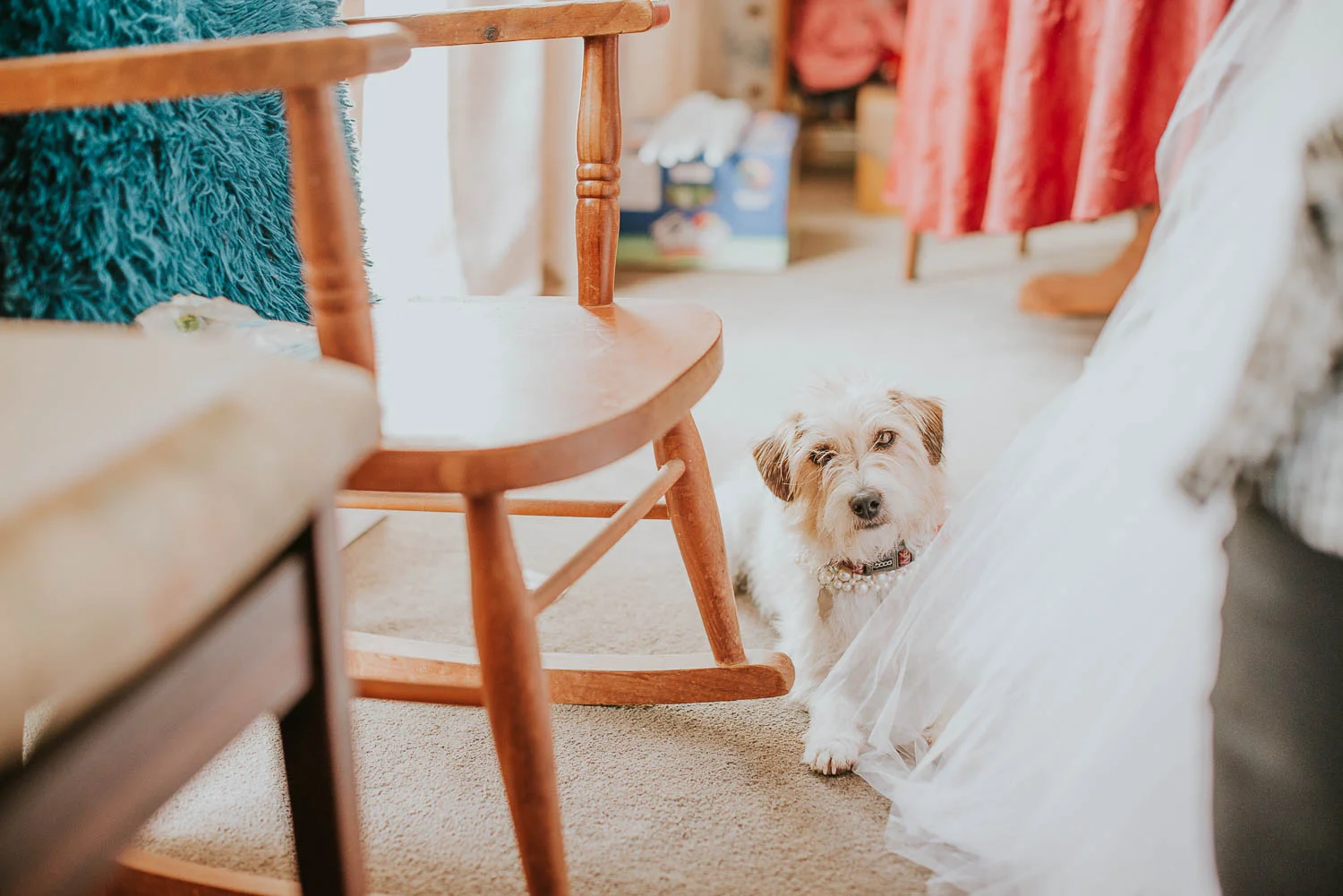 james-melinda-auckland-rustic-farm-wedding-14
