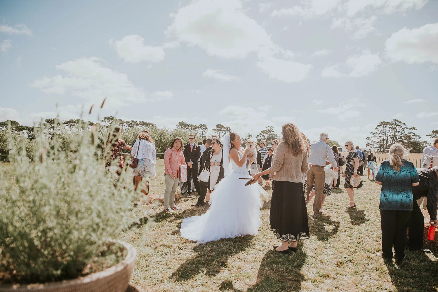 james-melinda-auckland-rustic-farm-wedding-52