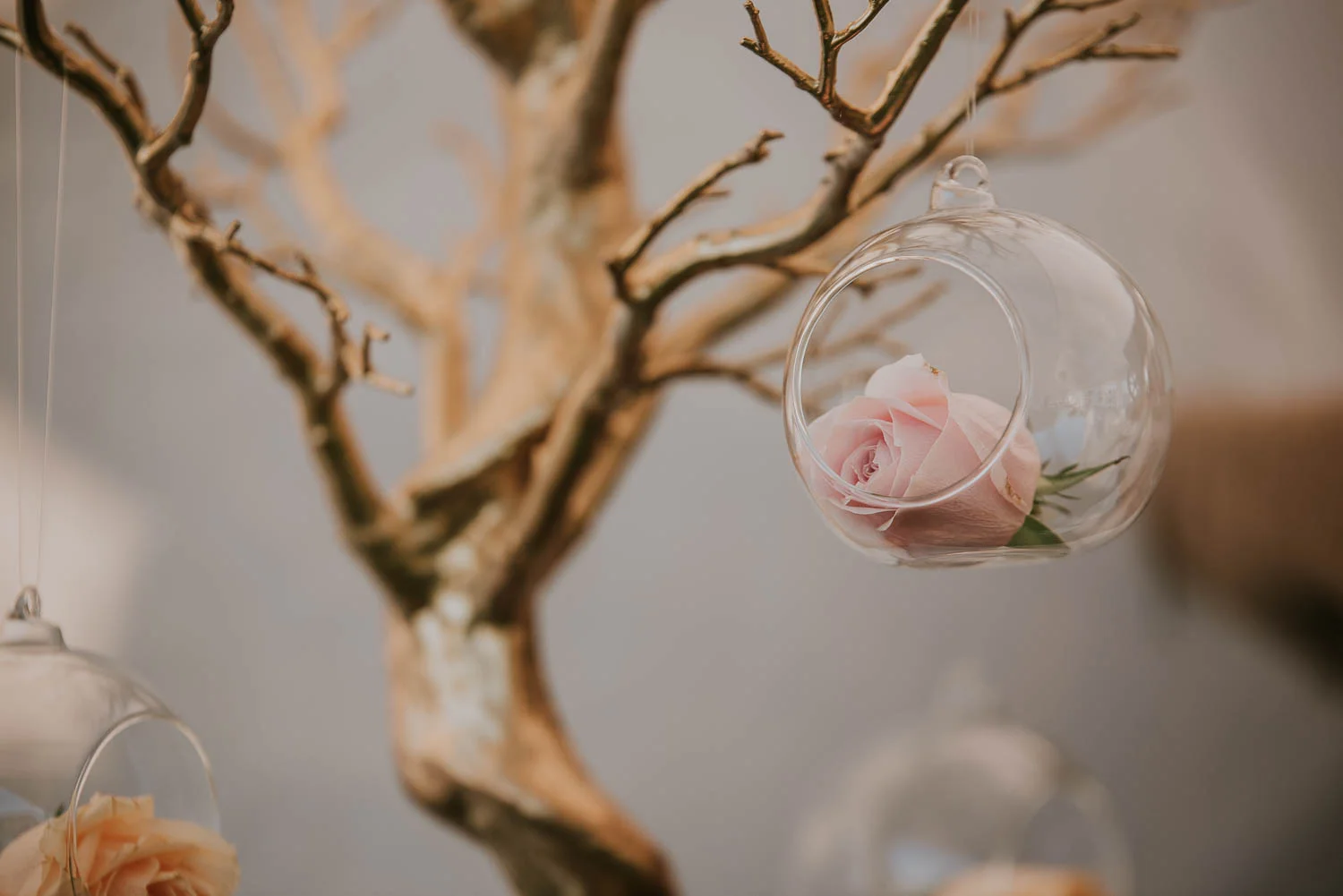 James-Melinda-Rustic-Farm-Auckland-Wedding-78.jpg