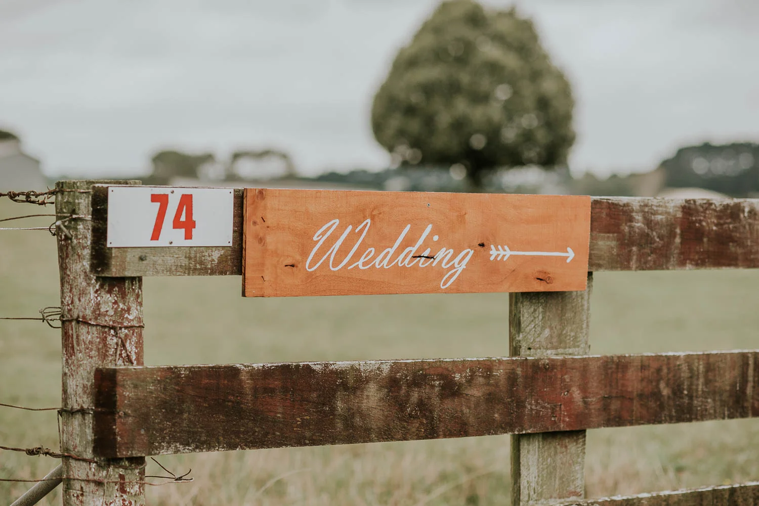 David-Alysha-Farm-Rustic-Auckland-Wedding-20
