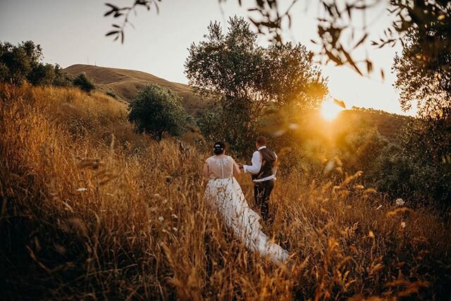 What I love most about my couples is that they all seem to make me feel part of the day, and this amazing couple were no exception. Amongst the Olive Grove @bracu_restaurant Michelle + John said their vows and sealed the deal. 
How amazing was this golden sunset from the hilltop? 🥰