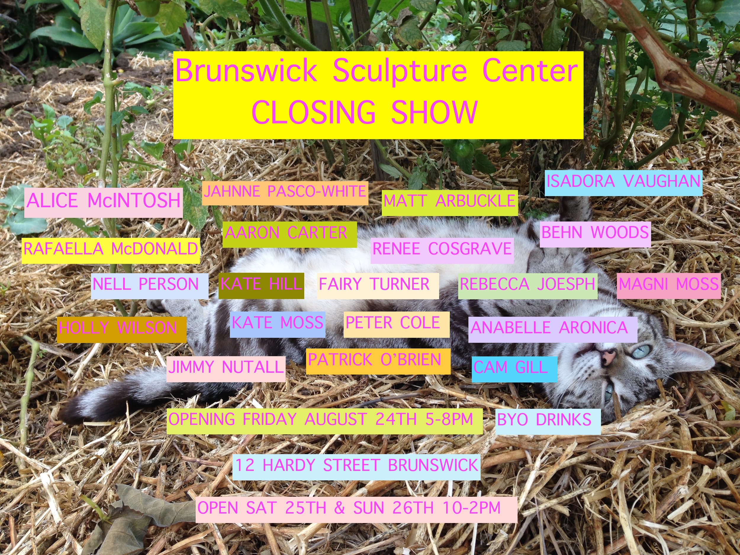 BSC CLOSING SHOW.jpg