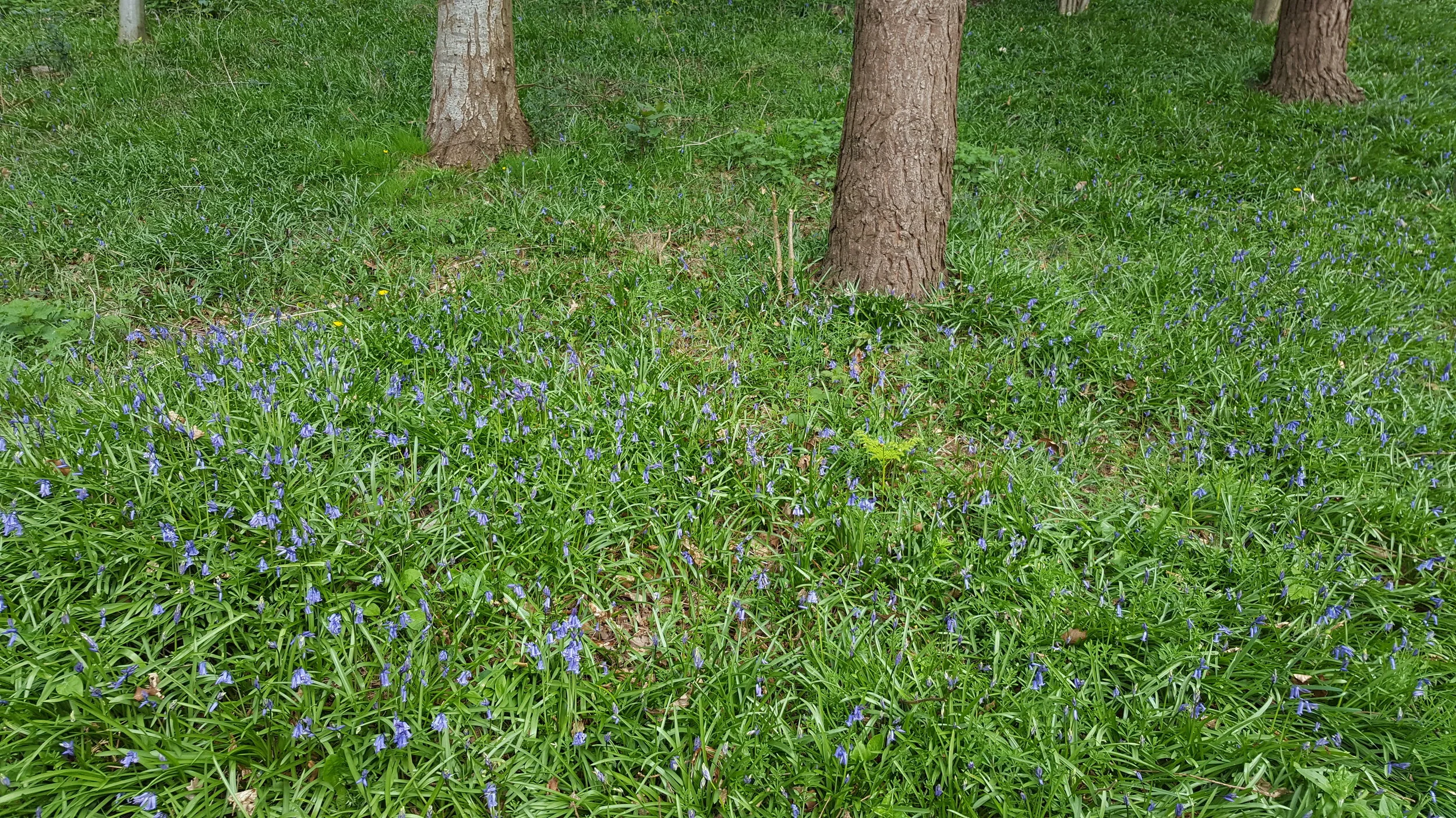 20170403_122031.jpg