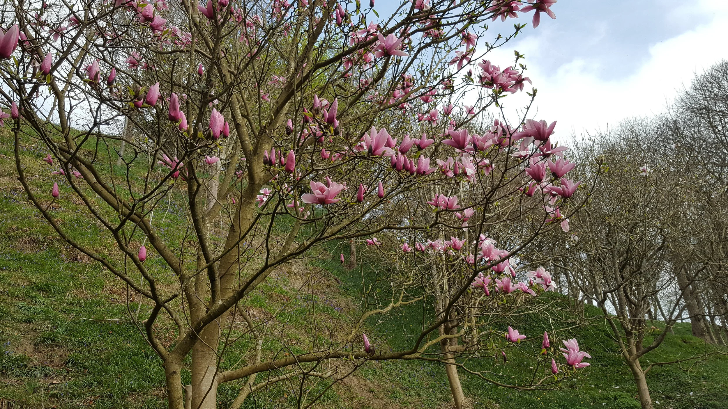 20170403_122339.jpg