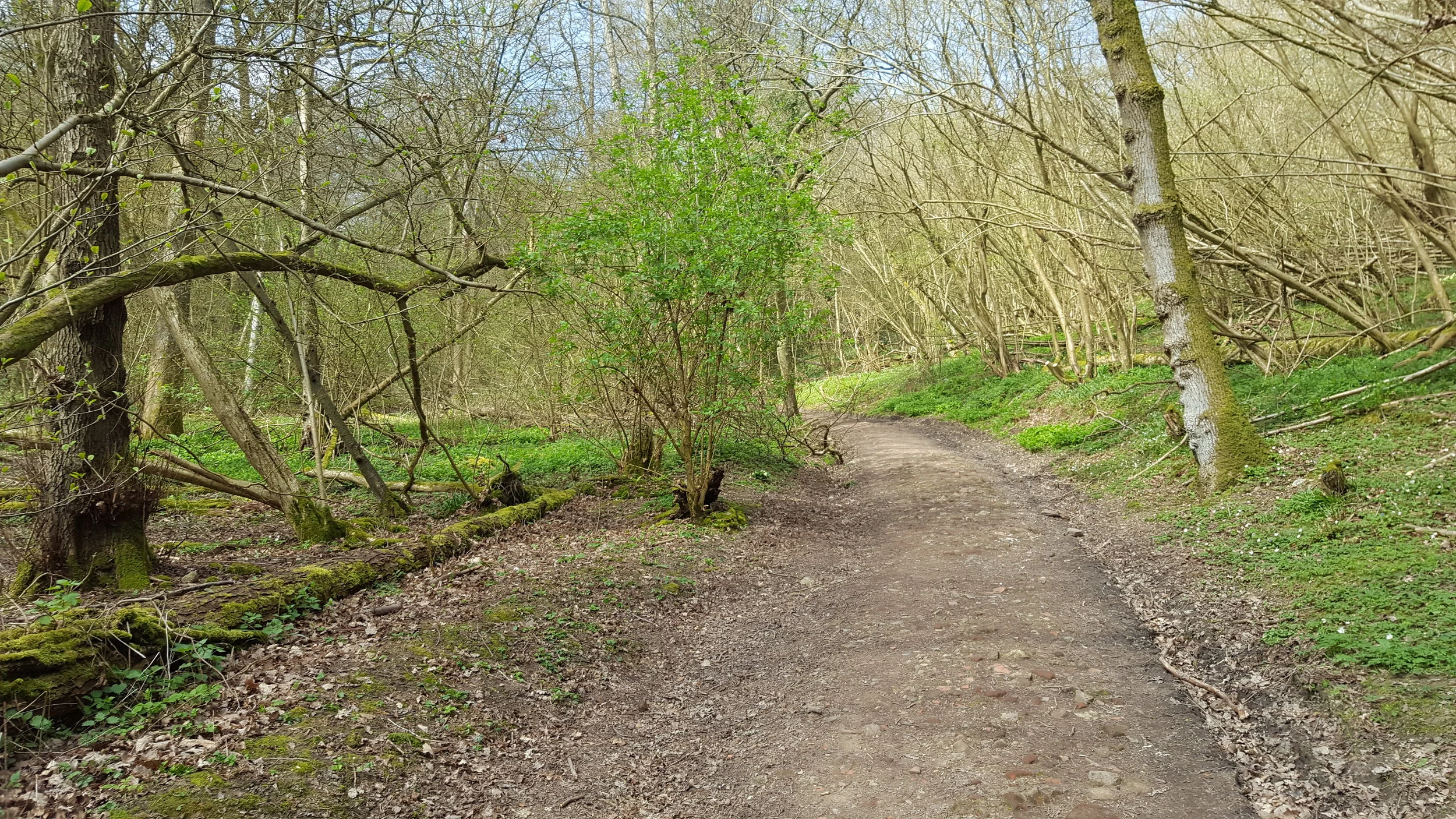 20170403_124007.jpg