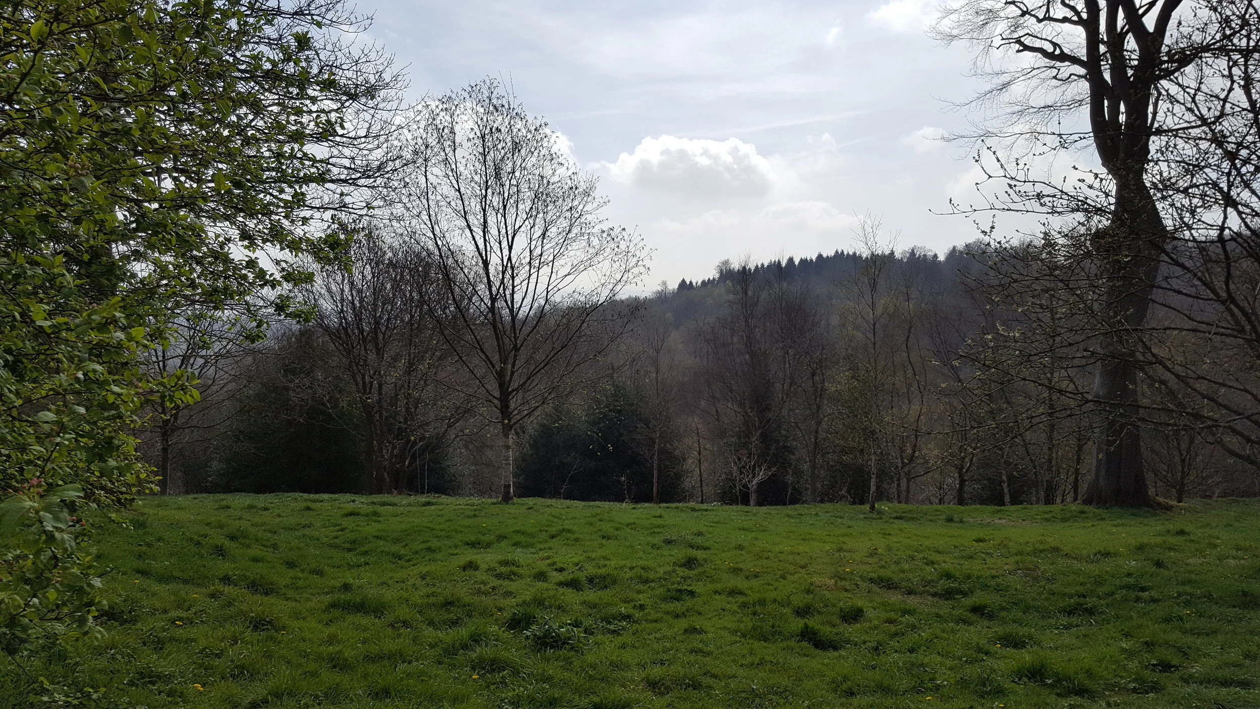 20170403_132458.jpg