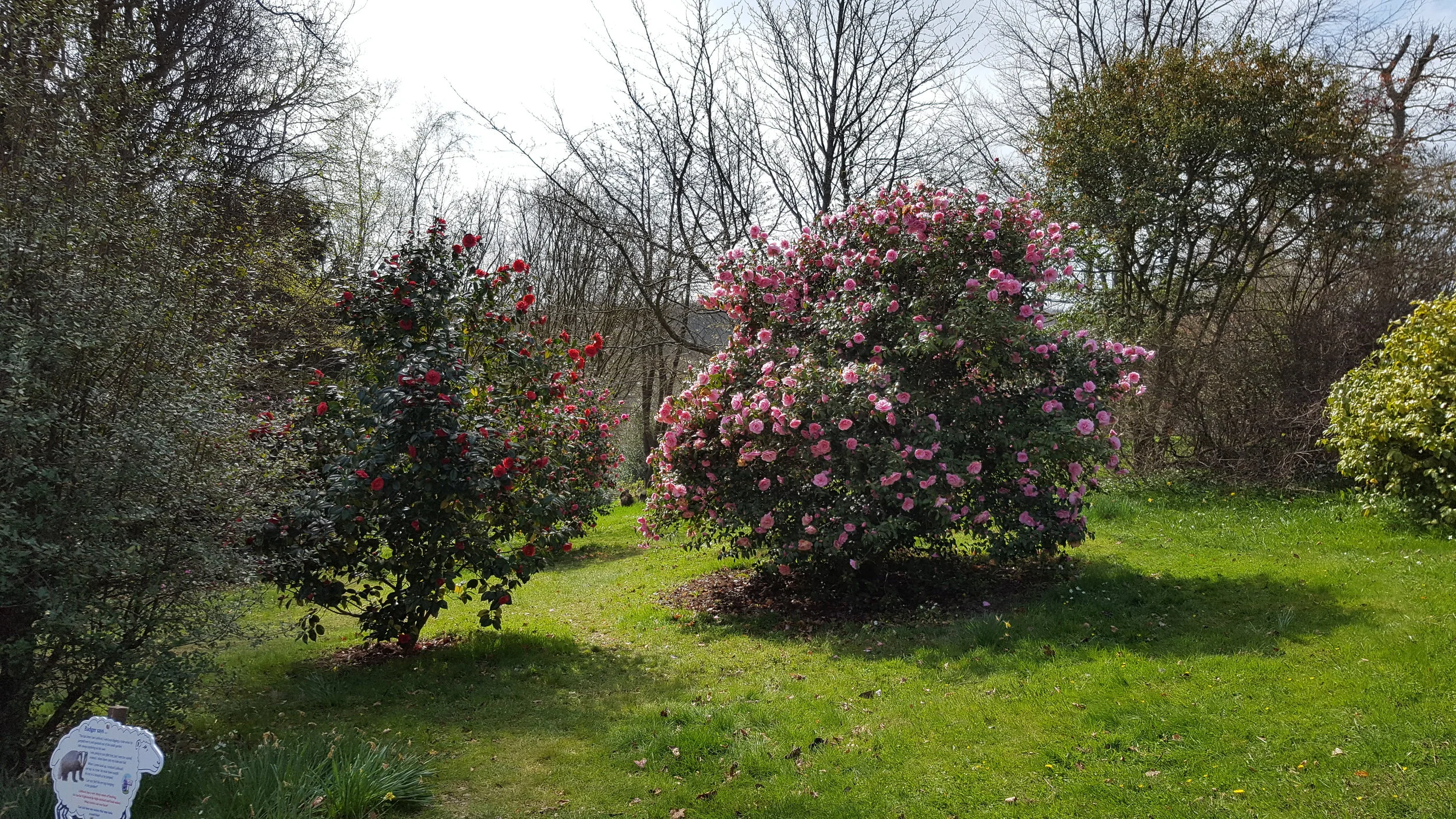 20170403_133106.jpg
