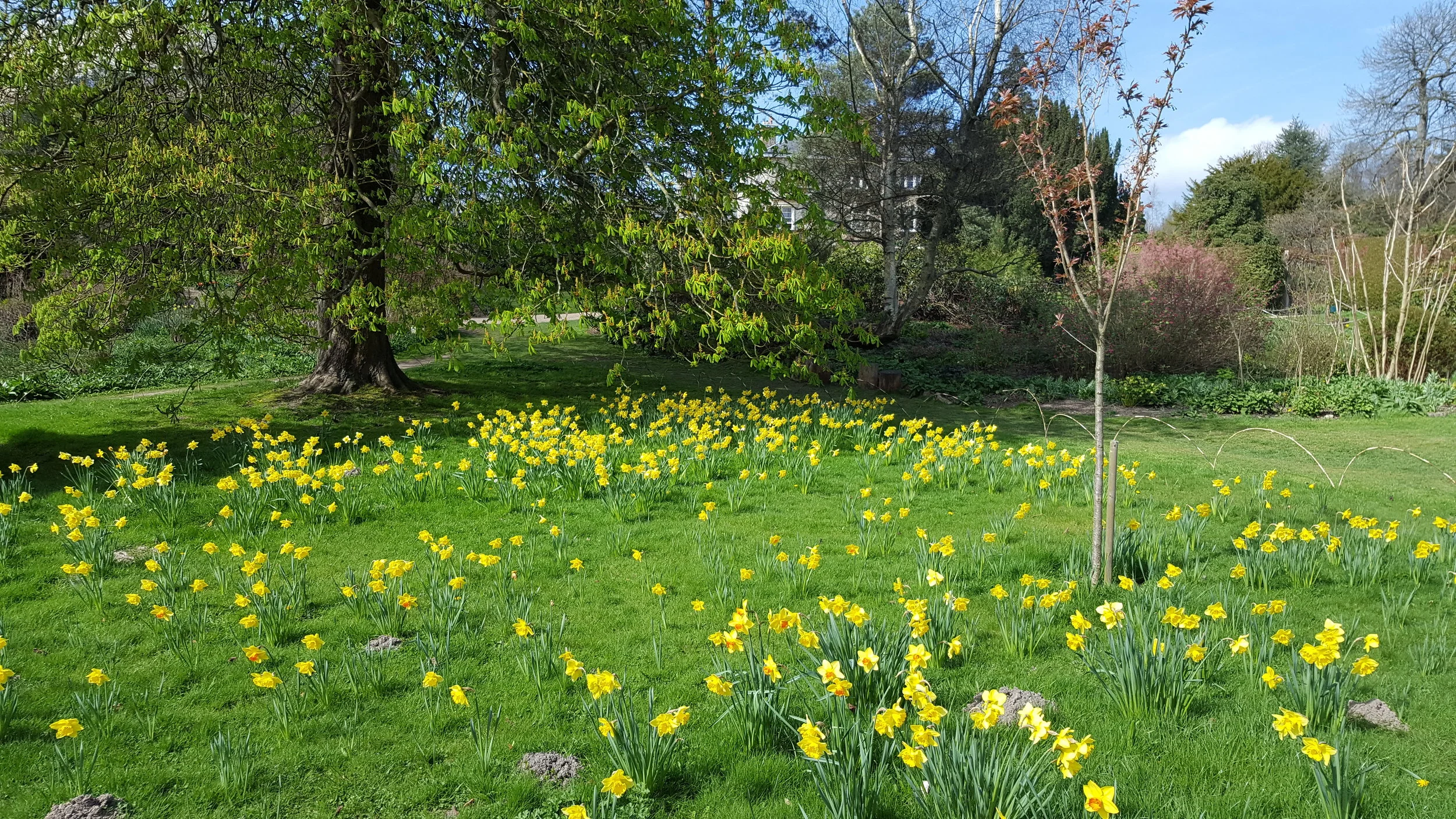 20170403_133848.jpg