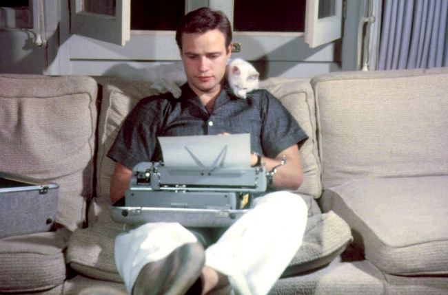 Marlon brando typing with cat.jpg