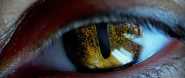lucy-2014-movie-screenshot-cat-eye.jpg