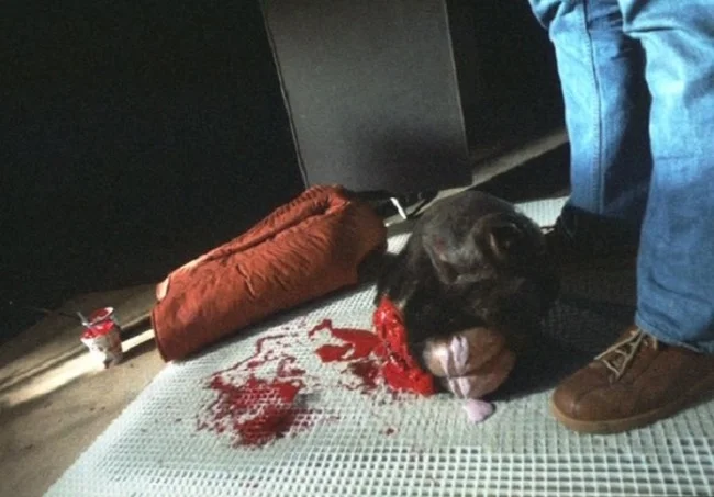 Ponda Bubba Dead (A).jpg