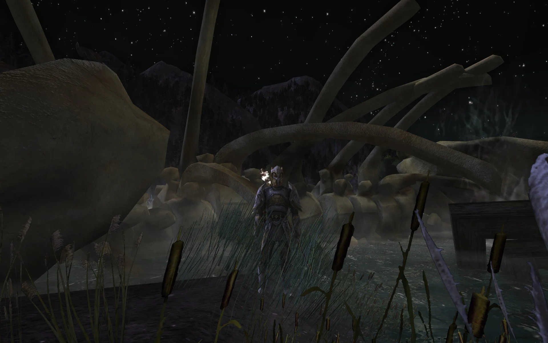 ScreenShot00187.jpg