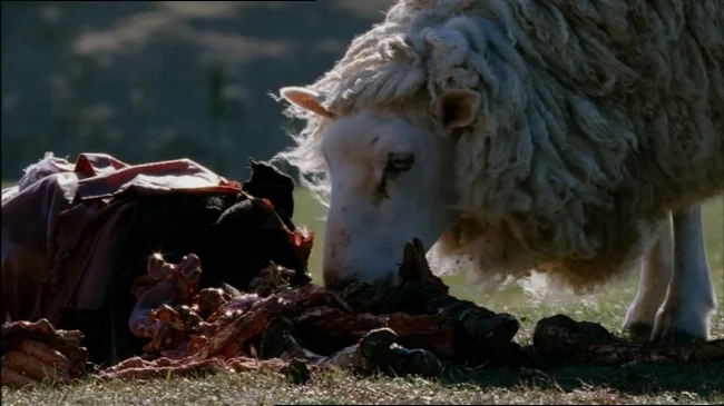 black-sheep-horror-sheep-10.jpg