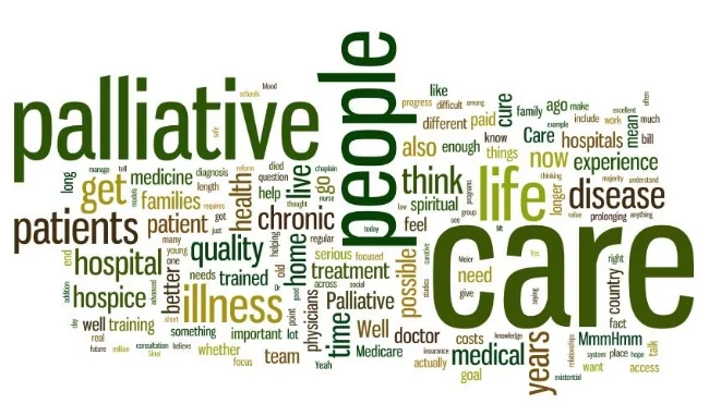 3pallivecare-4.jpg