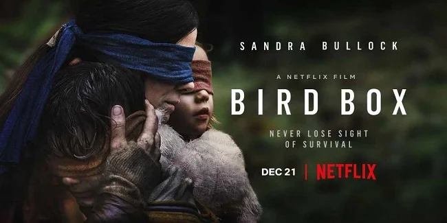 bird_box_top.jpg
