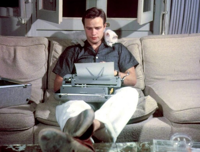 Marlon Brnado and Cat.jpg