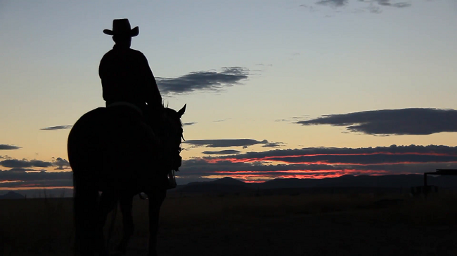 cowboy-rides-off-into-the-sunset.png