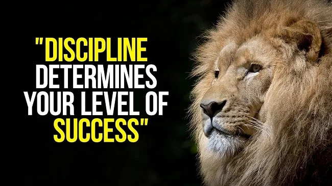 To date, no Lion has ever written a blog post of note