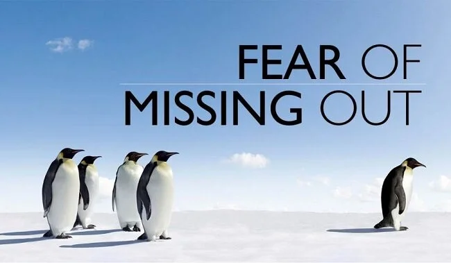 FOMO Penguins.jpg