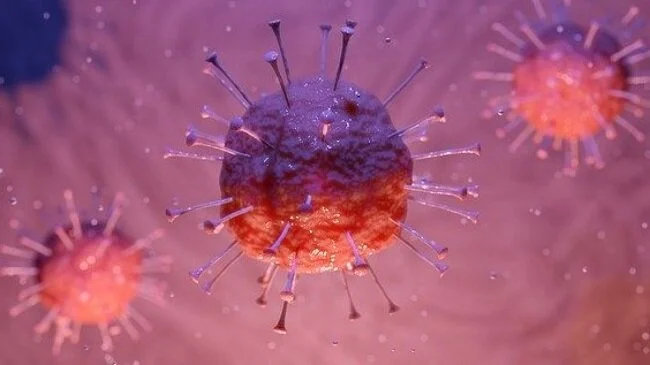 coronavirus-covid-19.jpg