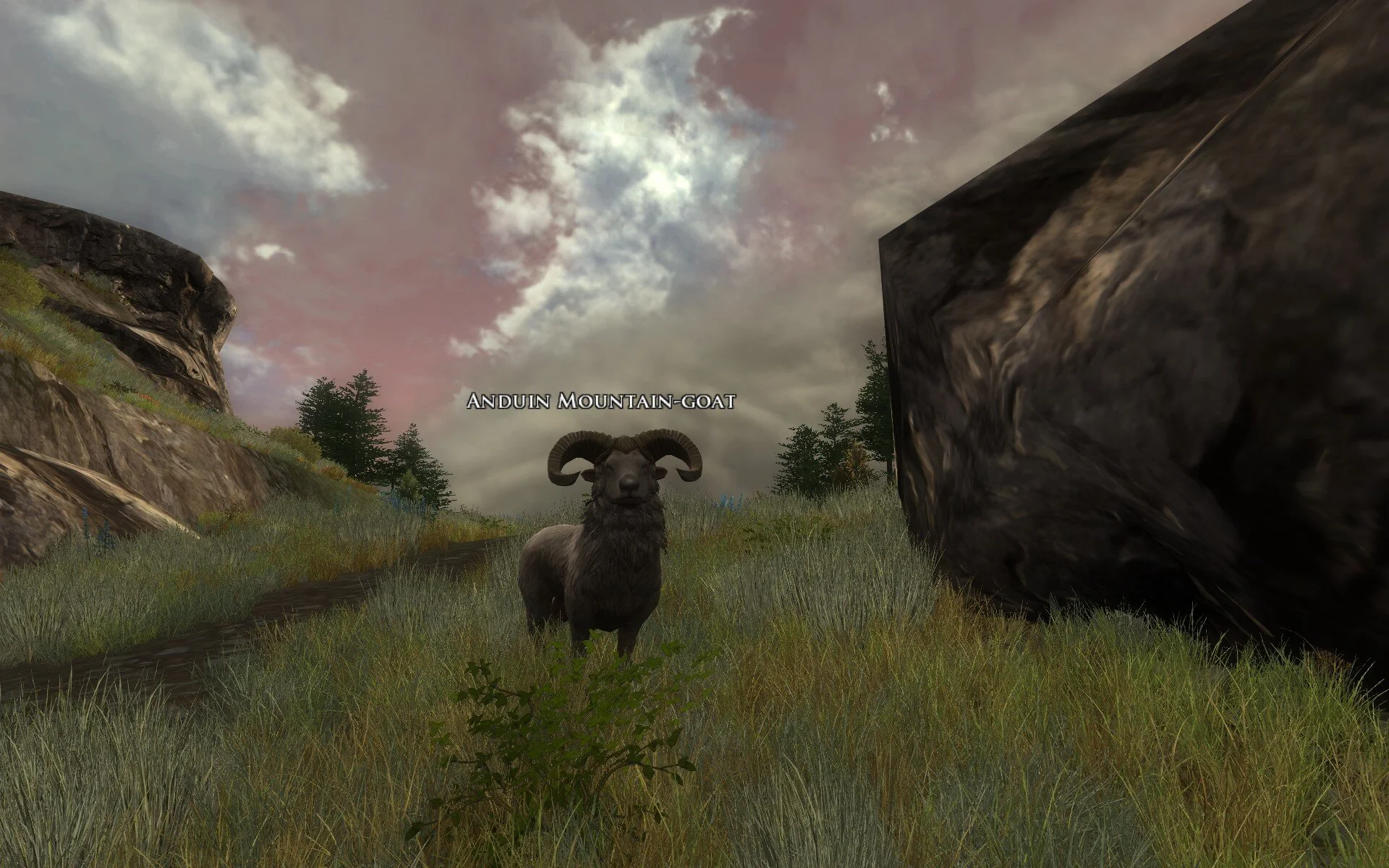 ScreenShot_2020-04-14_112747_0.jpg