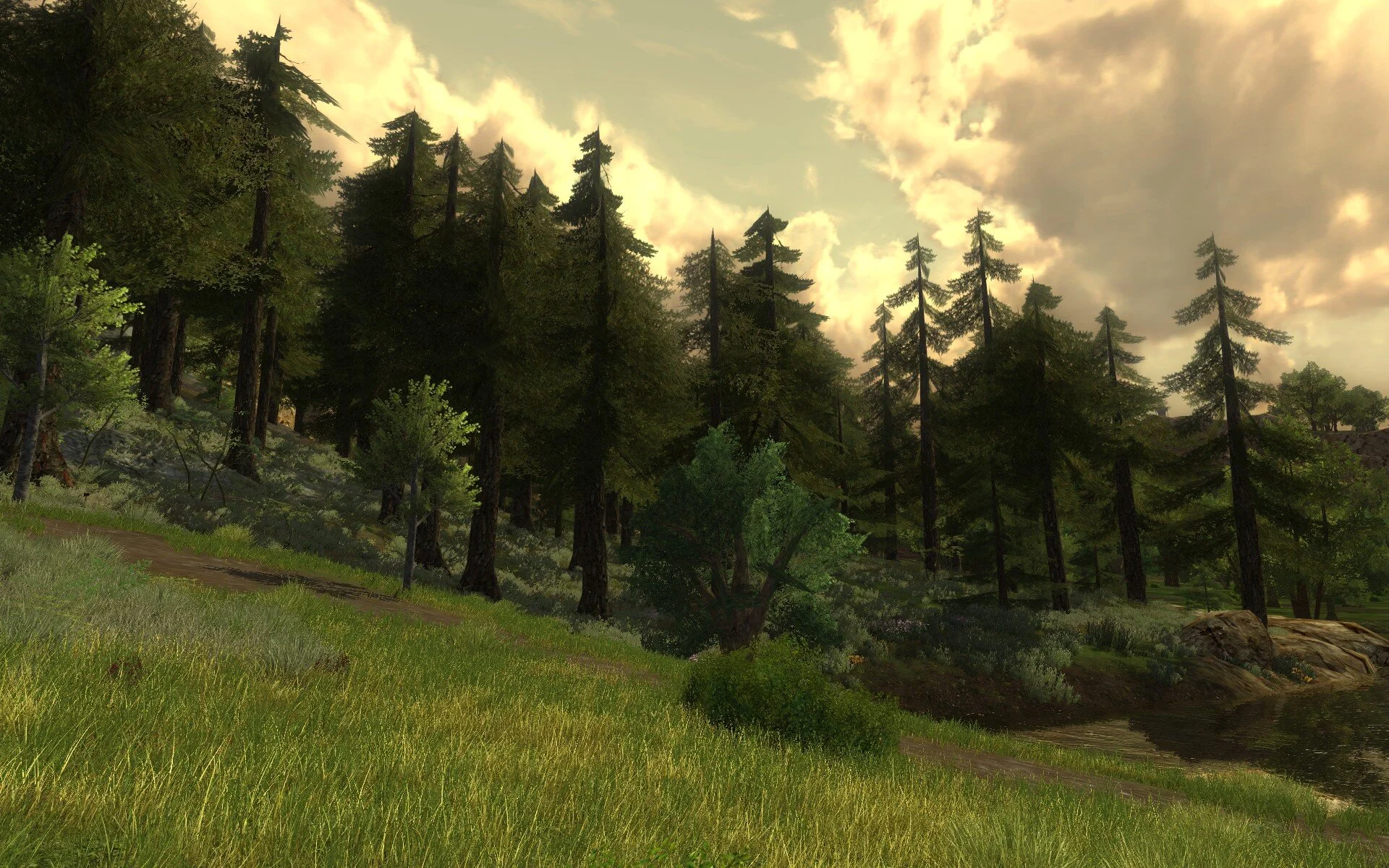 ScreenShot_2021-02-09_210922_0.jpg