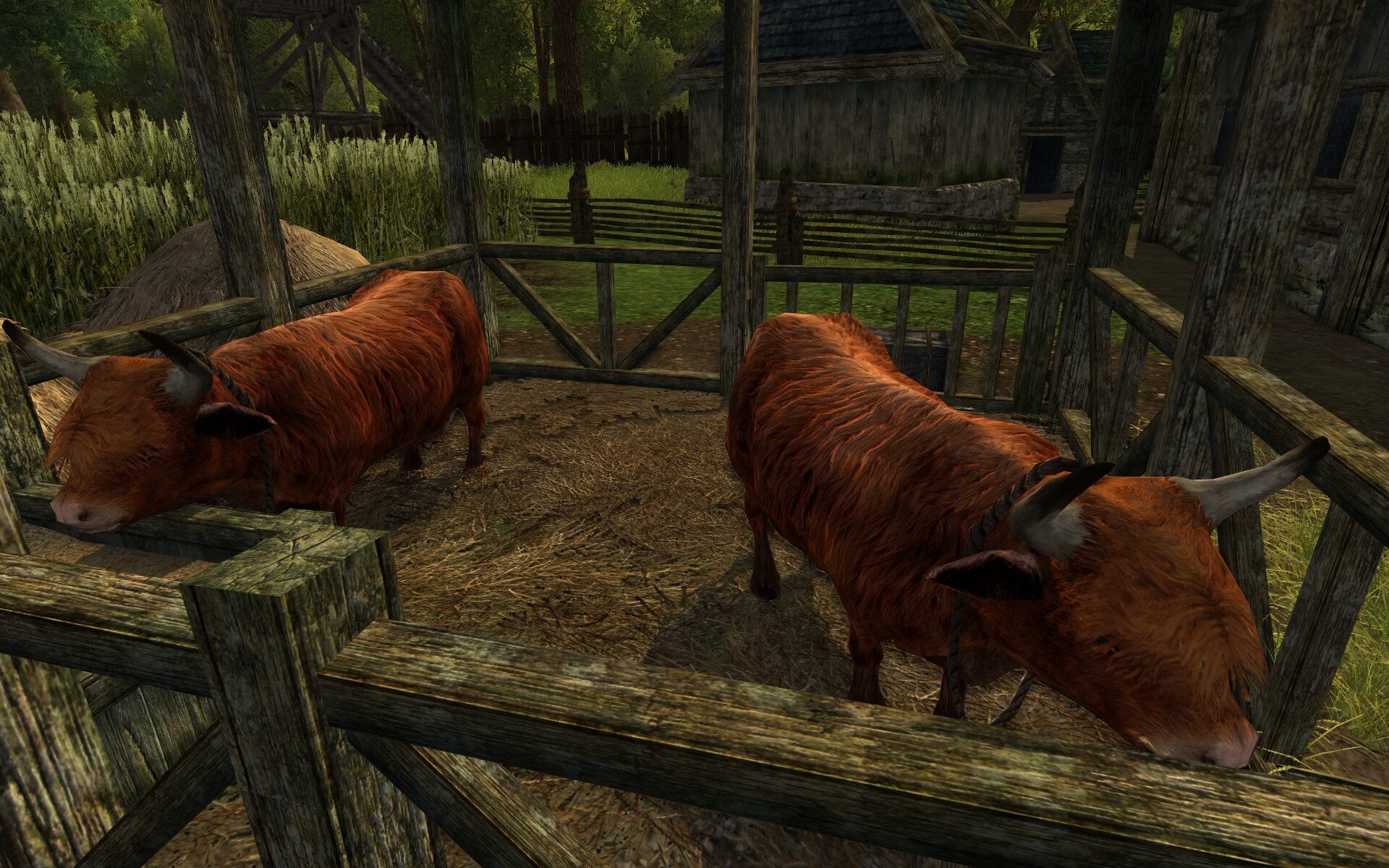 ScreenShot_2021-02-09_211150_0.jpg